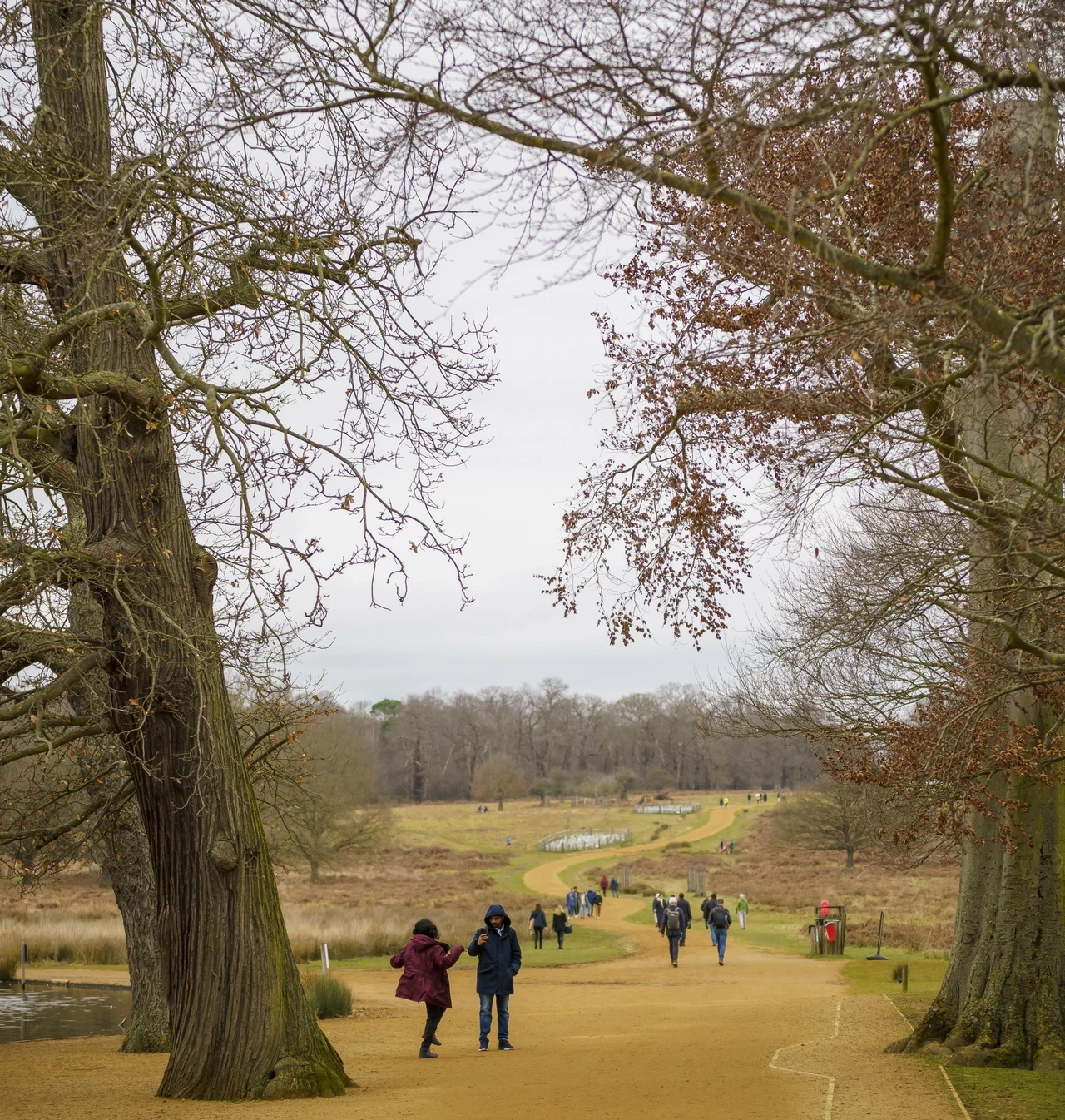 Richmond Park